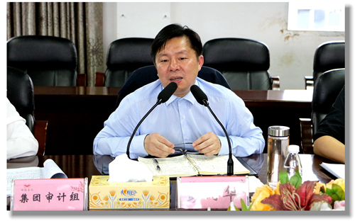 集團(tuán)黨委委員、紀(jì)委書記彭向華強(qiáng)調(diào)審計(jì)整改工作要深挖思想根源(圖2)