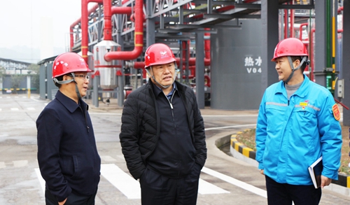 袁衛(wèi)東到股份、楚星和新項目現(xiàn)場調(diào)研(圖5)