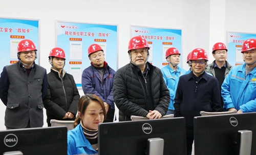 袁衛(wèi)東到股份、楚星和新項目現(xiàn)場調(diào)研(圖6)