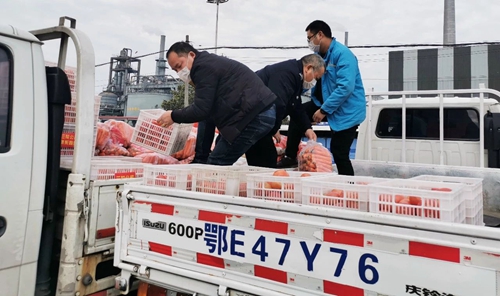 情義無價！山西蘭花公司采購一批生活物資馳援宜化(圖3)