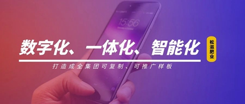 線上辦公零接觸！松滋肥業(yè)信息化在戰(zhàn)“疫”之中顯身手(圖1)