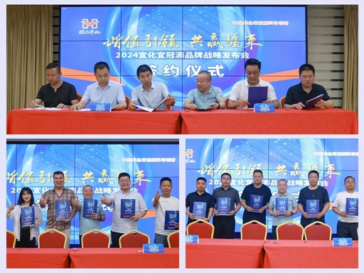 增值引領(lǐng)共贏疆來(lái)！2024宜化宜冠滴品牌戰(zhàn)略發(fā)布會(huì)在新疆輪臺(tái)縣成功舉行(圖6)