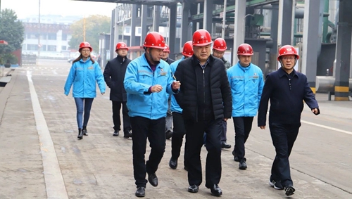 袁衛(wèi)東到股份、楚星和新項目現(xiàn)場調(diào)研